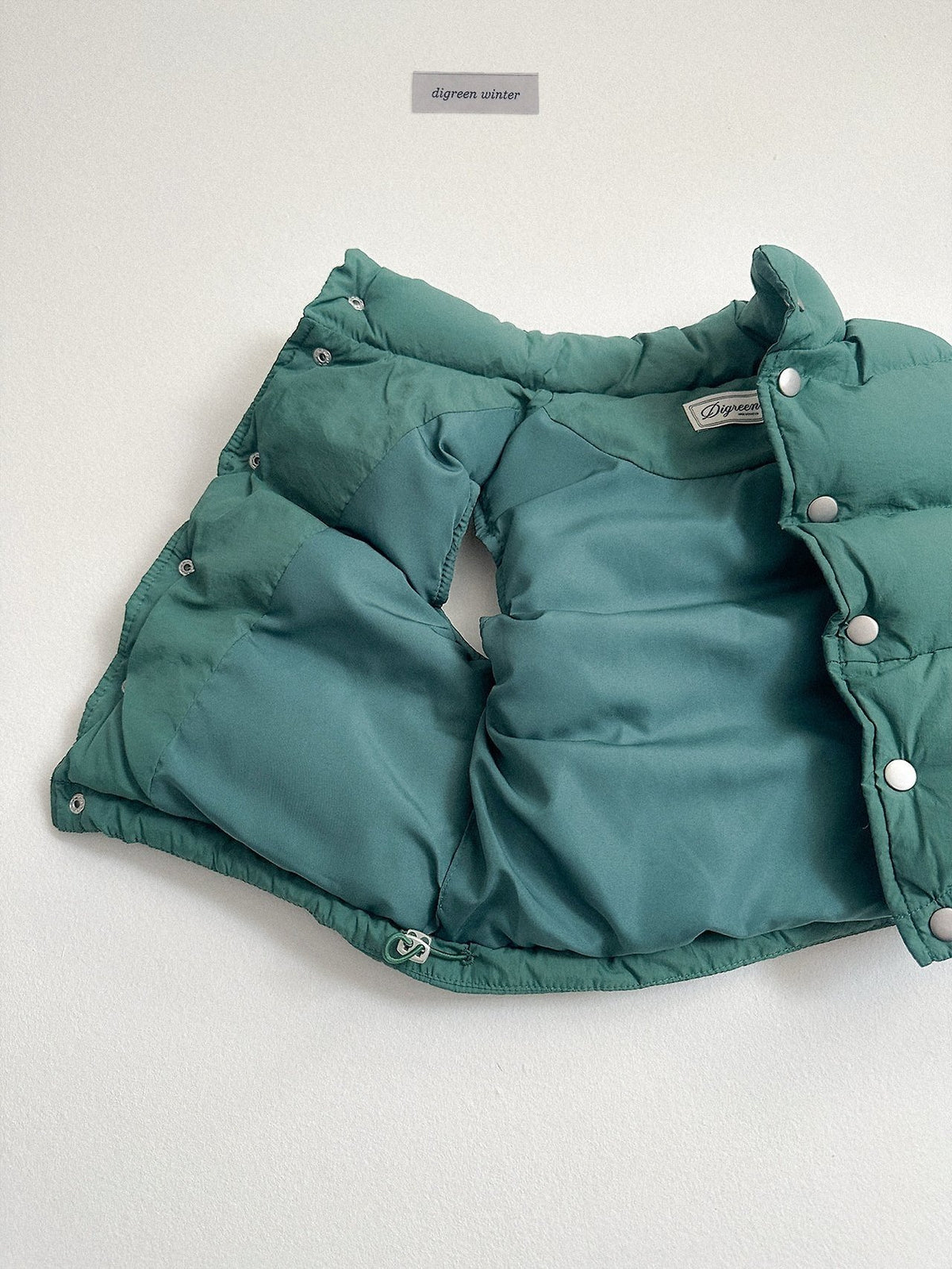 《予約》Vivid Padded Vest / digreen