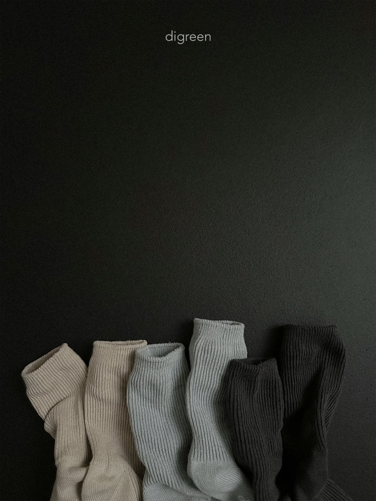《予約》Gray Socks Set / digreen