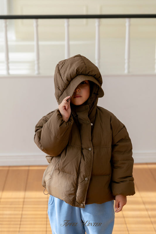 《予約》Down Padding Jacket / APFEL