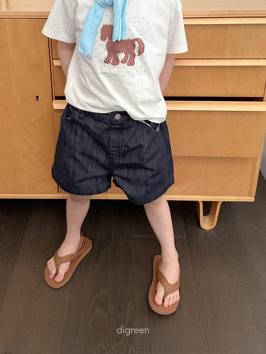 《予約》Diver Shorts Denim / digreen