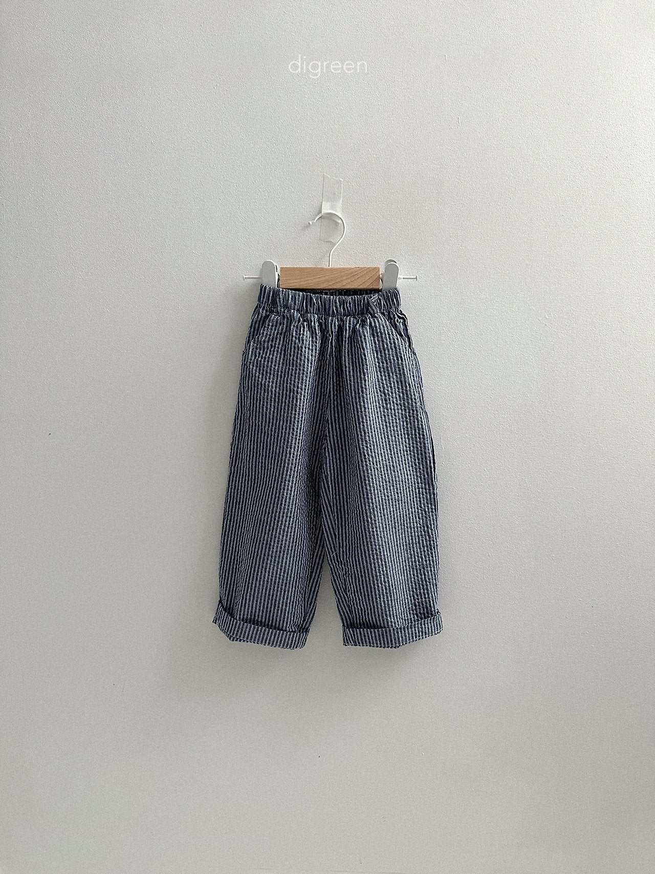 《予約》Classic Pants / digreen