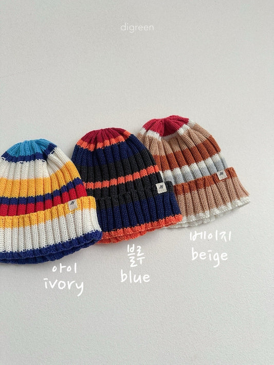 《予約》Multi Beanie / digreen