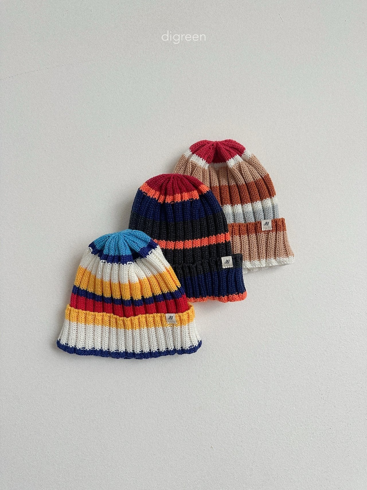 《予約》Multi Beanie / digreen
