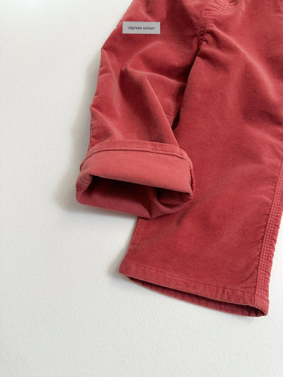《予約》Velvet Pants / digreen