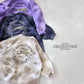 《予約》Cheater Tee / 12months