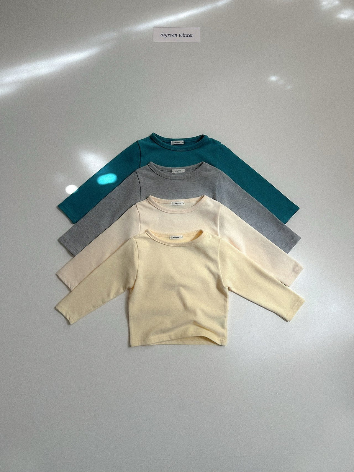 《予約》Pogeuni Tee / digreen