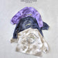 《予約》Cheater Tee / 12months