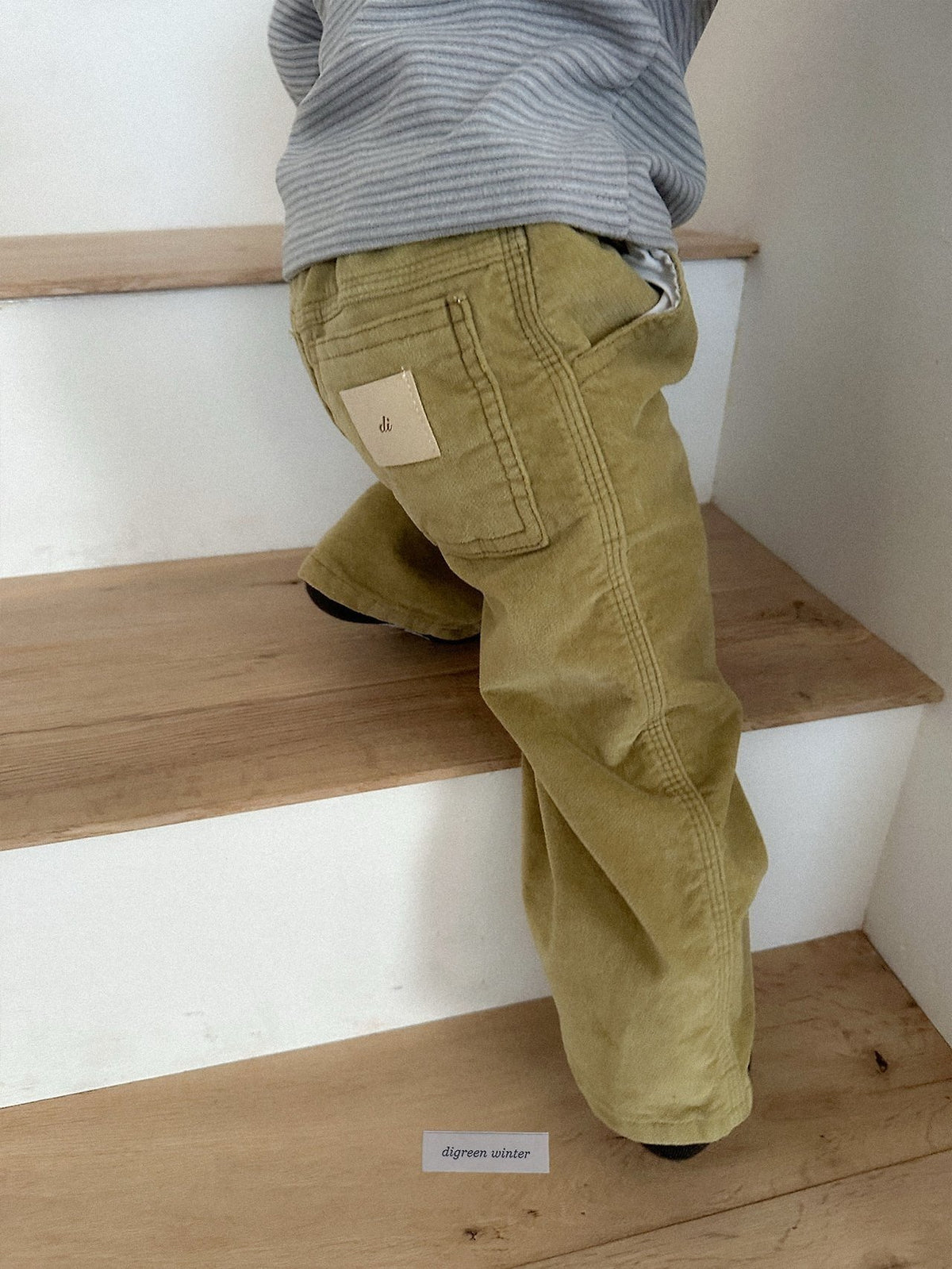 《予約》Velvet Pants / digreen