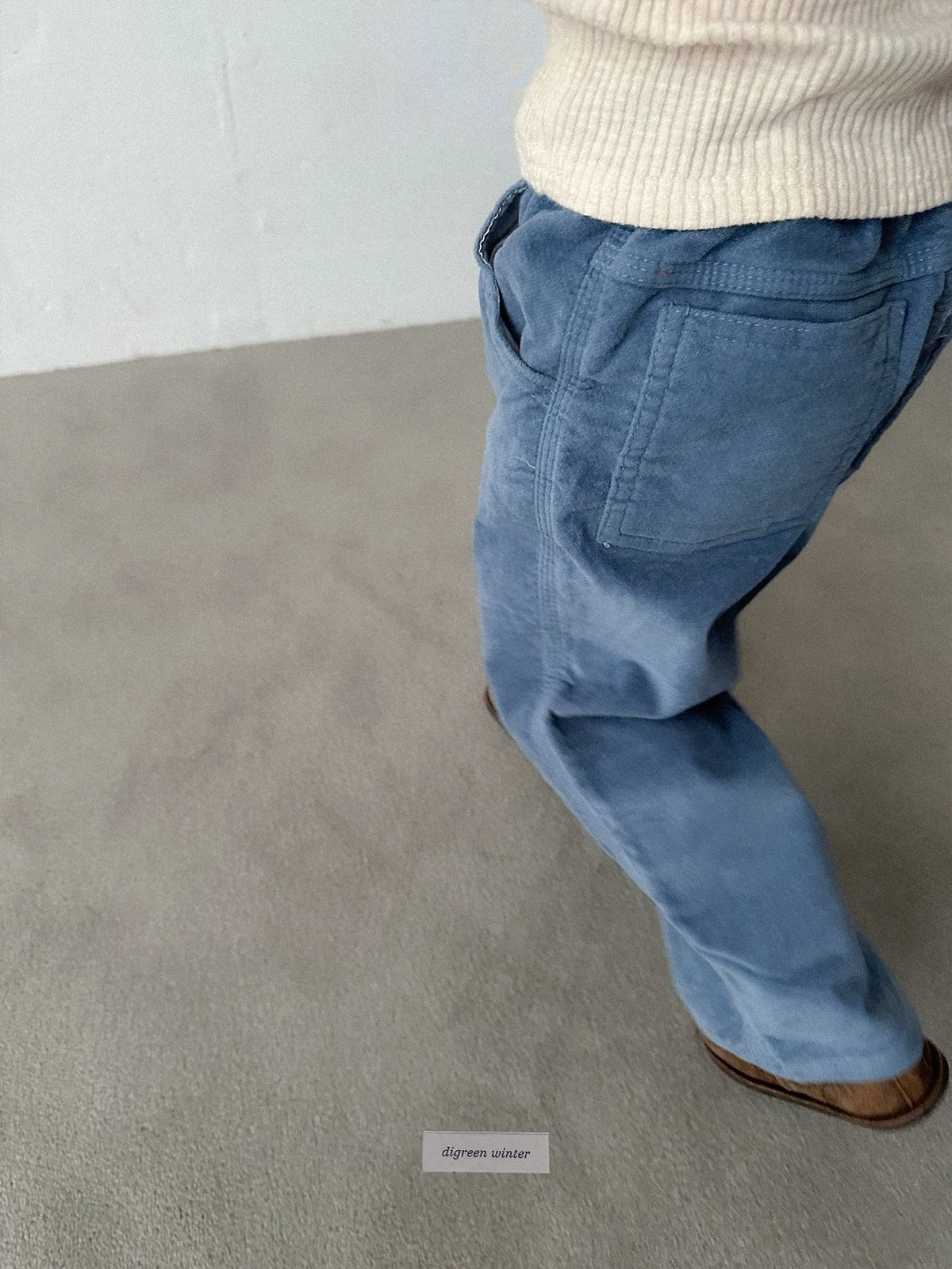 《予約》Velvet Pants / digreen