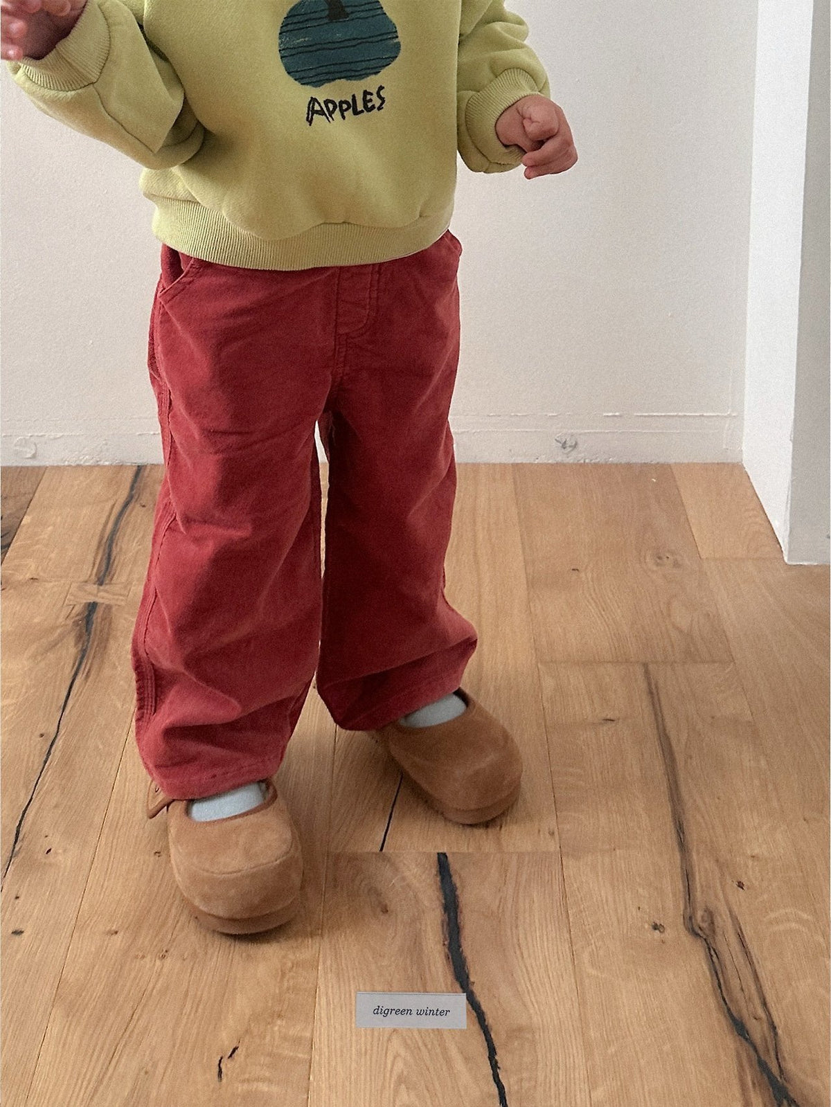 《予約》Velvet Pants / digreen