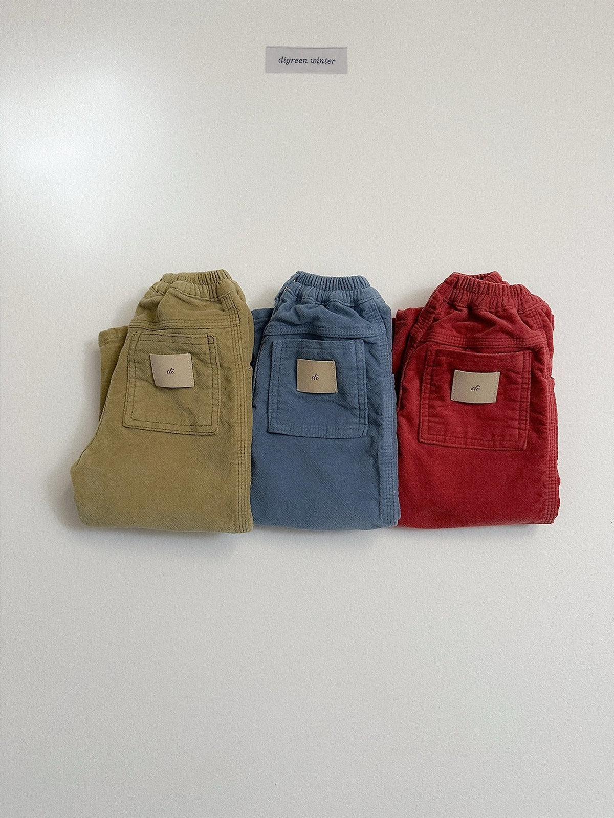 《予約》Velvet Pants / digreen