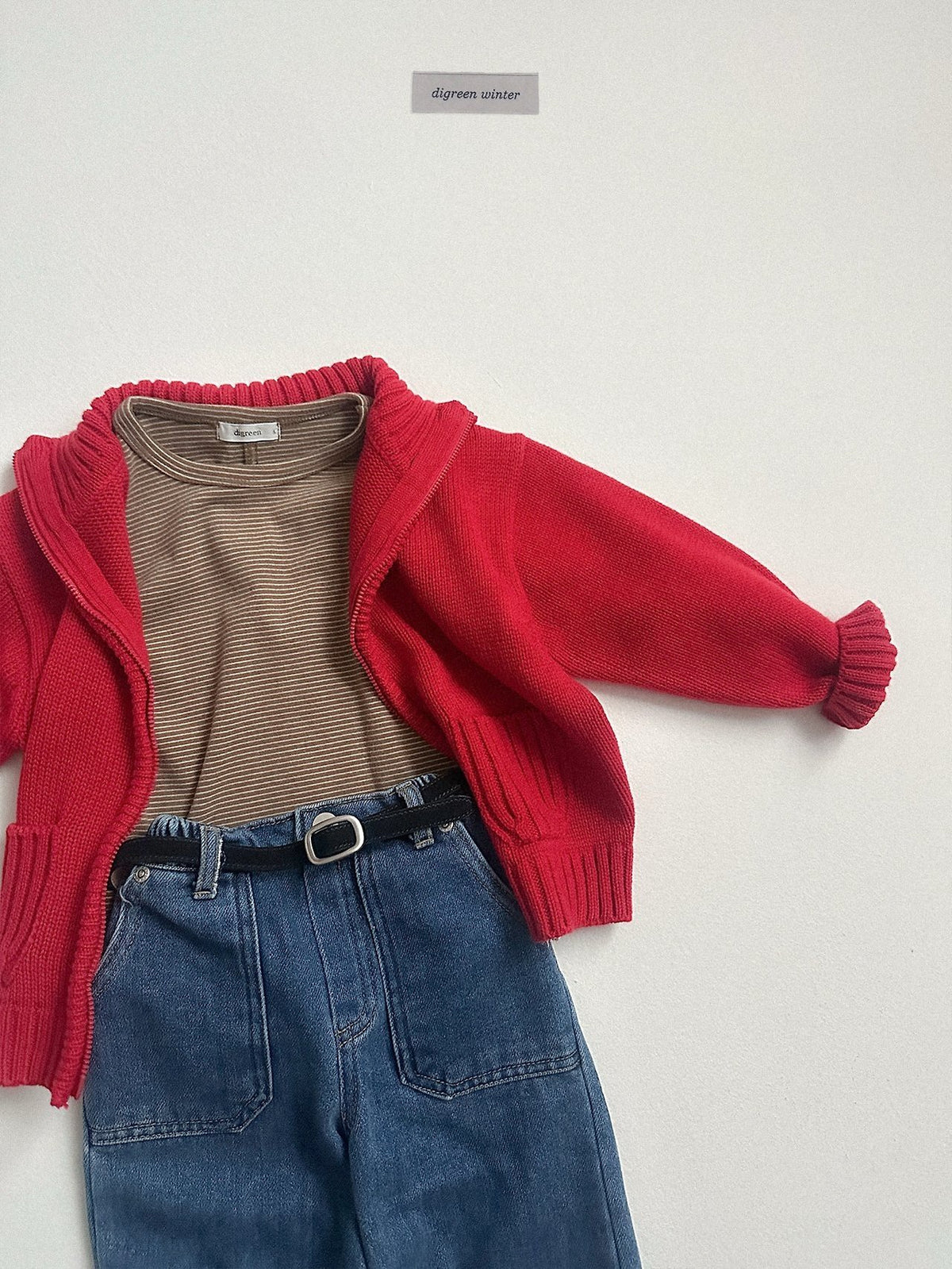 《予約》Roel Knit Zop-up / digreen