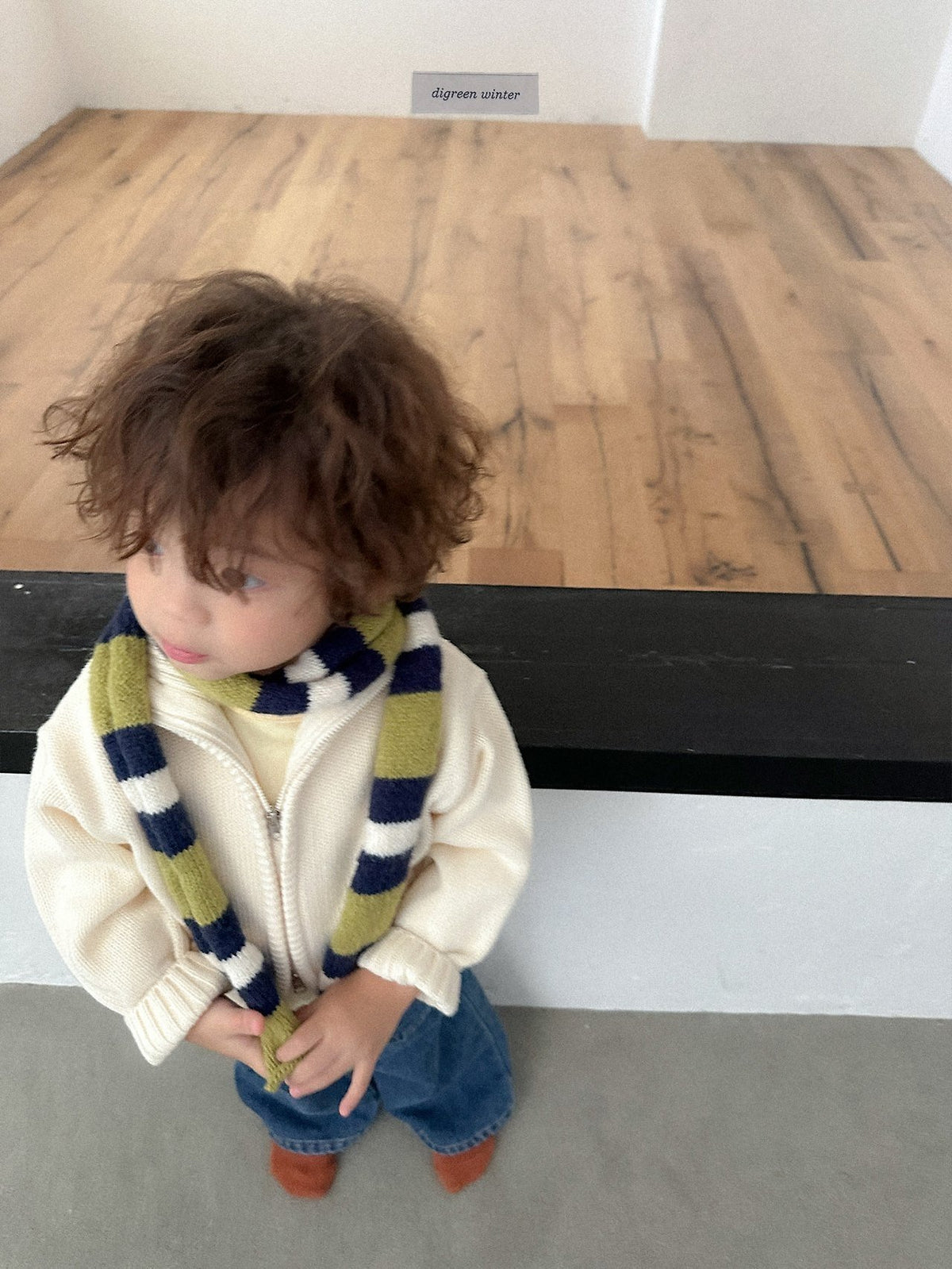 《予約》Roel Knit Zop-up / digreen