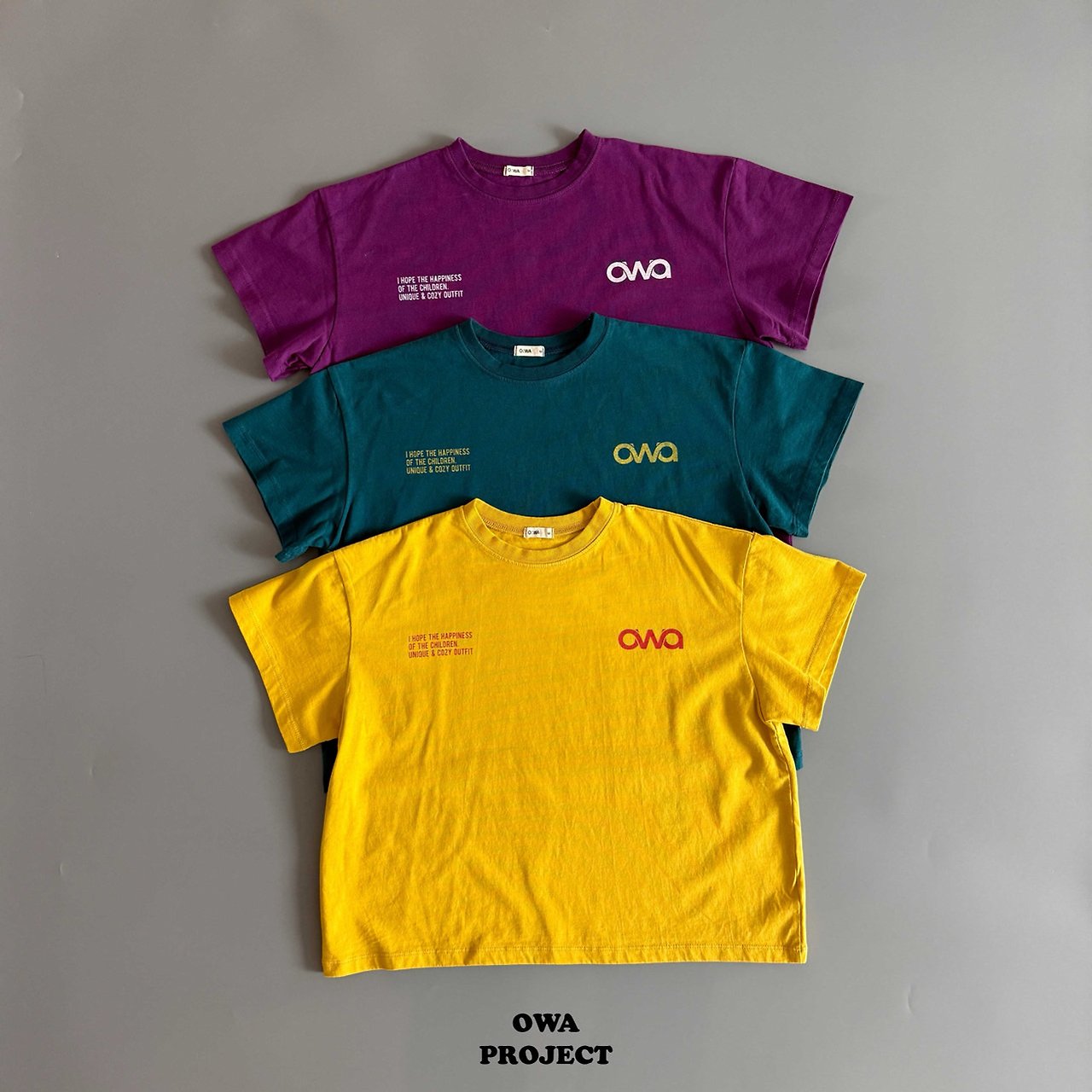 《予約》Owa Tee / OWA PROJECT