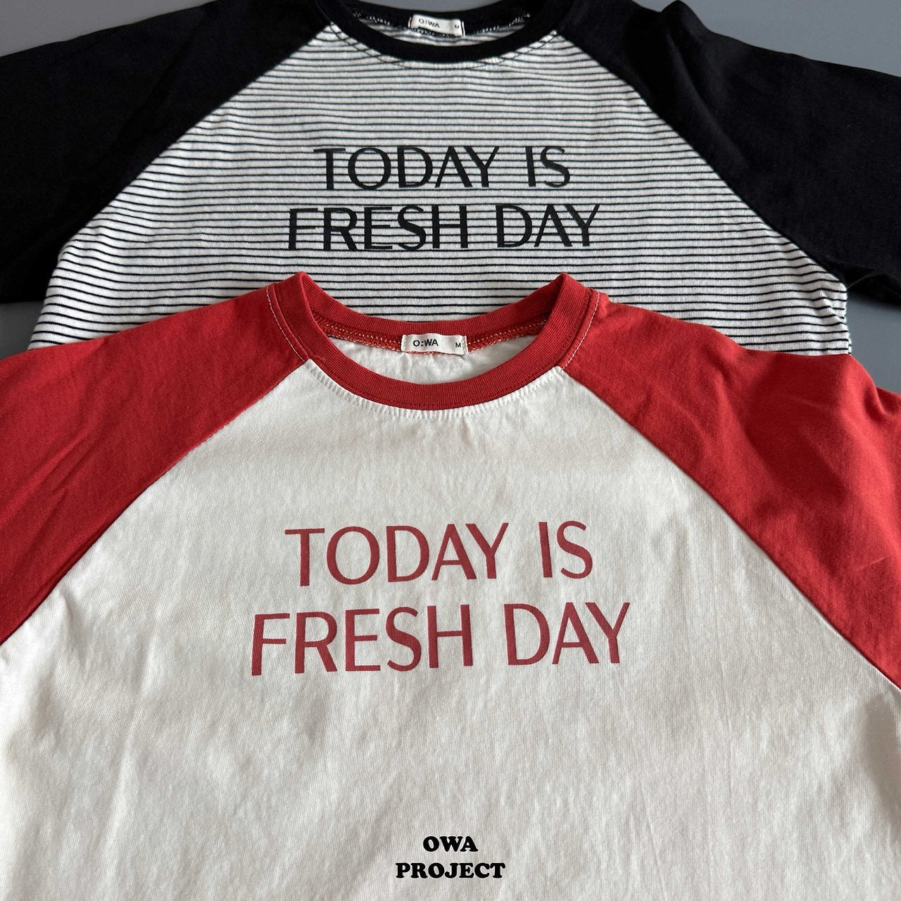《予約》Today Tee / OWA PROJECT