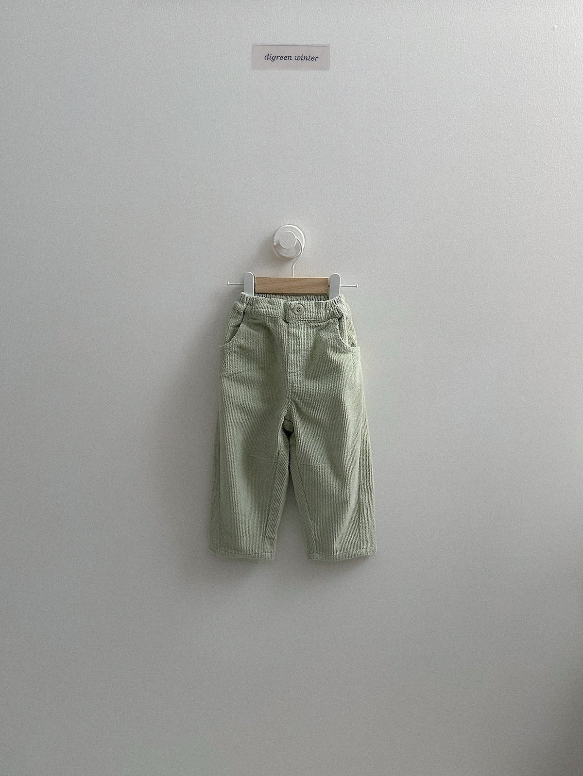 《予約》Dobby Pants / digreen