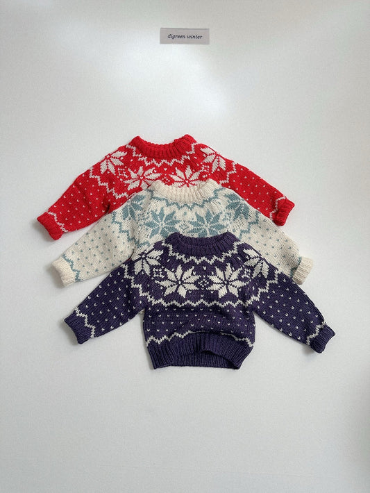《予約》Cowichan Knit / digreen