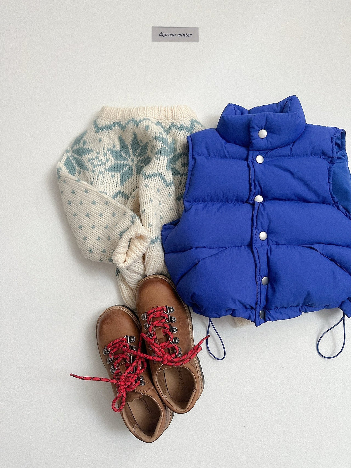《予約》Cowichan Knit / digreen
