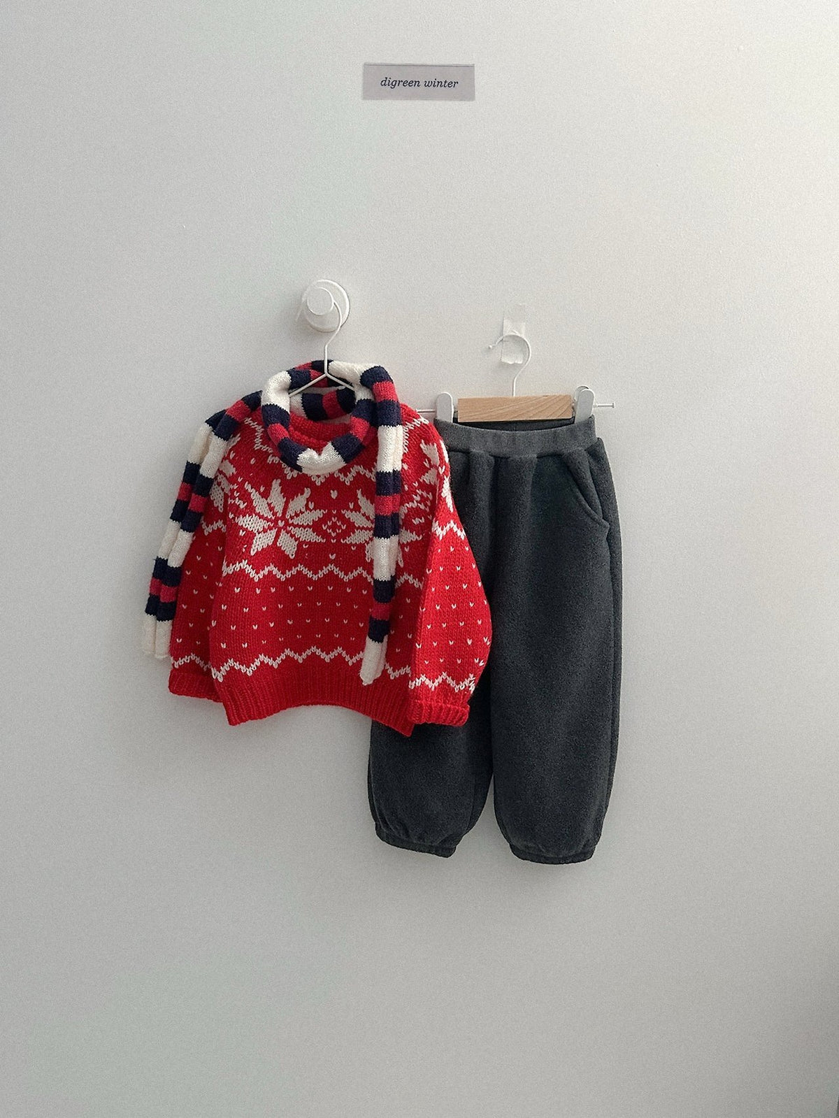 《予約》Cowichan Knit / digreen