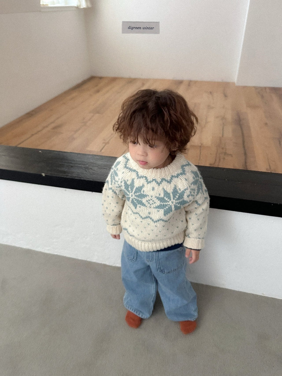 《予約》Cowichan Knit / digreen