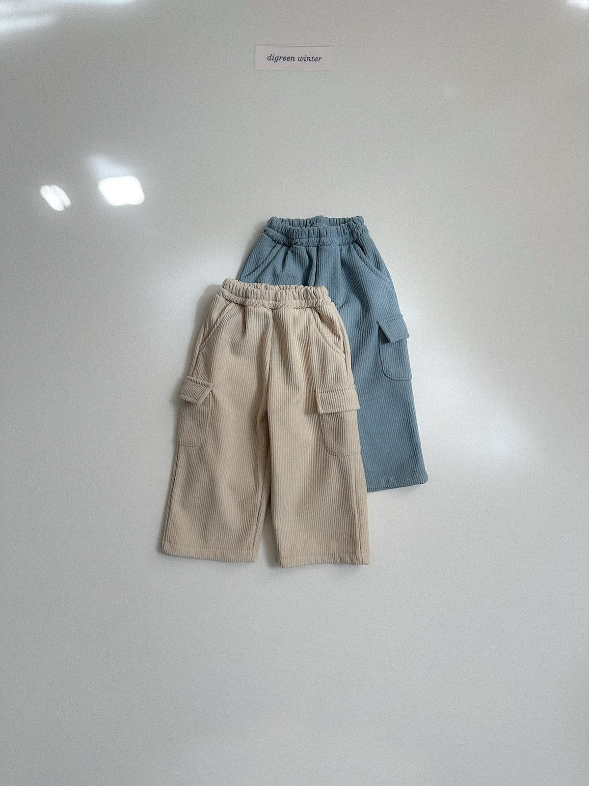 《予約》Lnec Pants / digreen