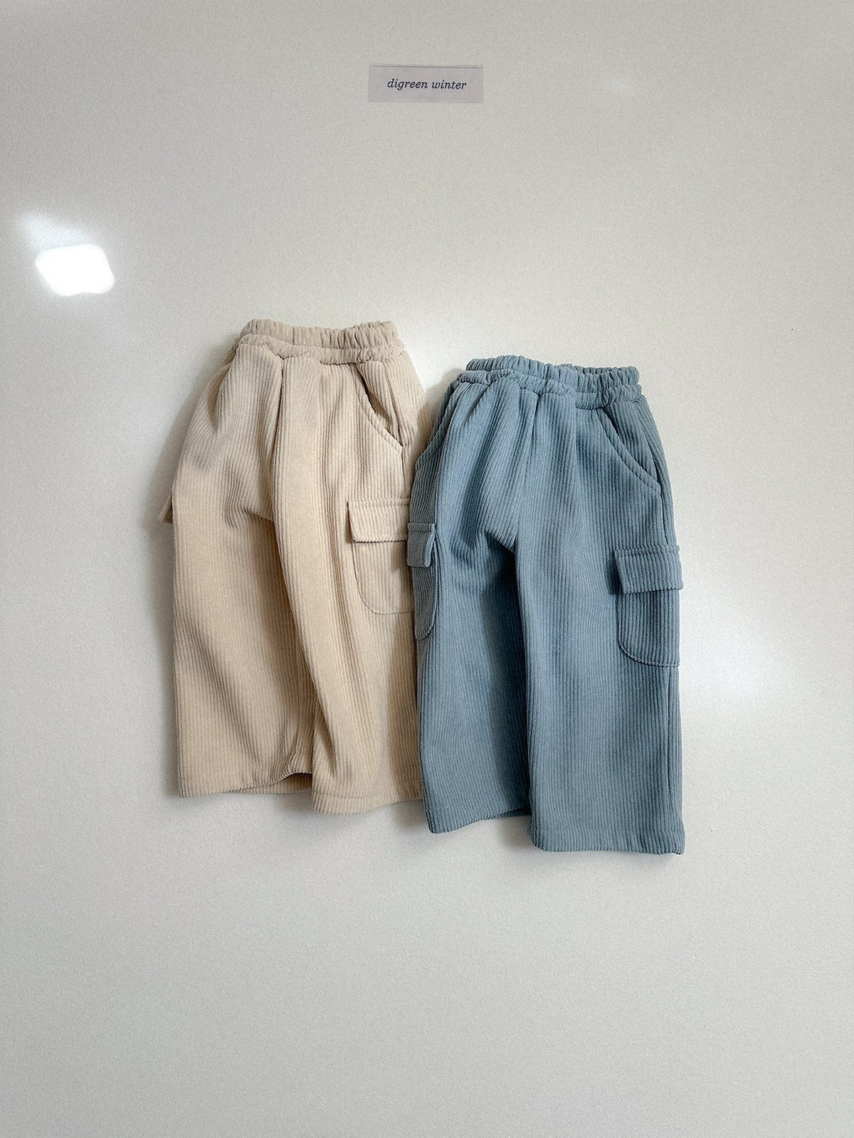 《予約》Lnec Pants / digreen