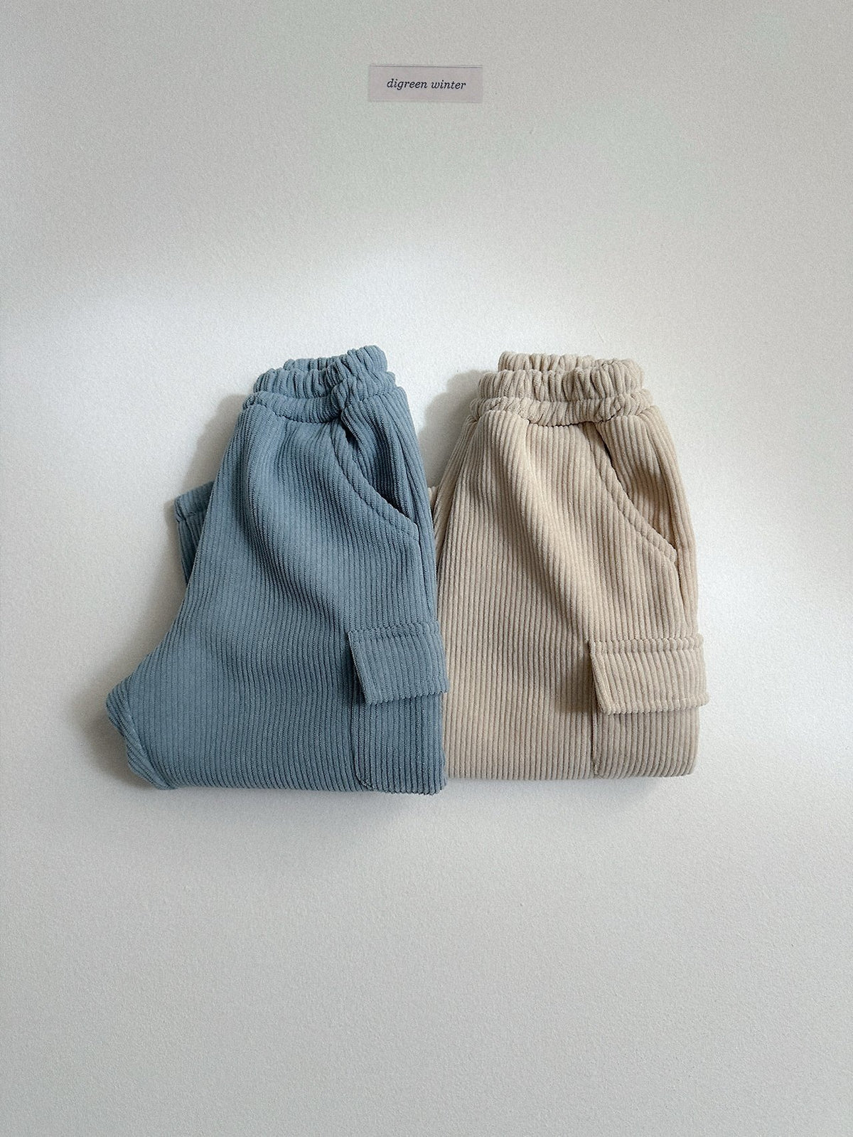 《予約》Lnec Pants / digreen