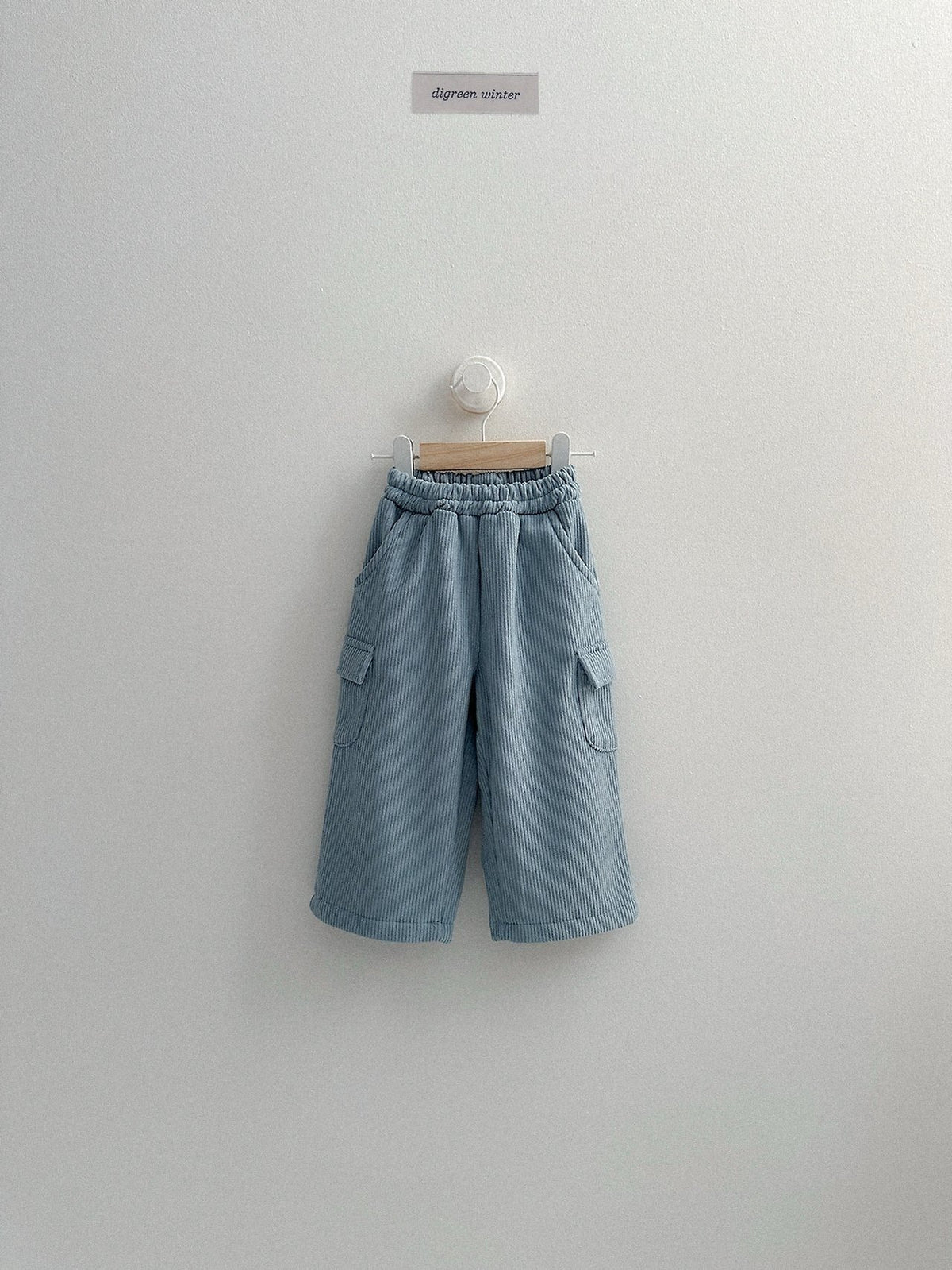 《予約》Lnec Pants / digreen