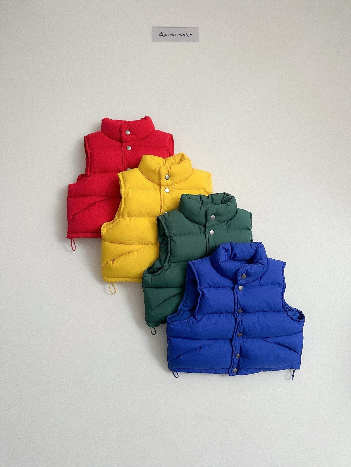 《予約》Vivid Padded Vest / digreen