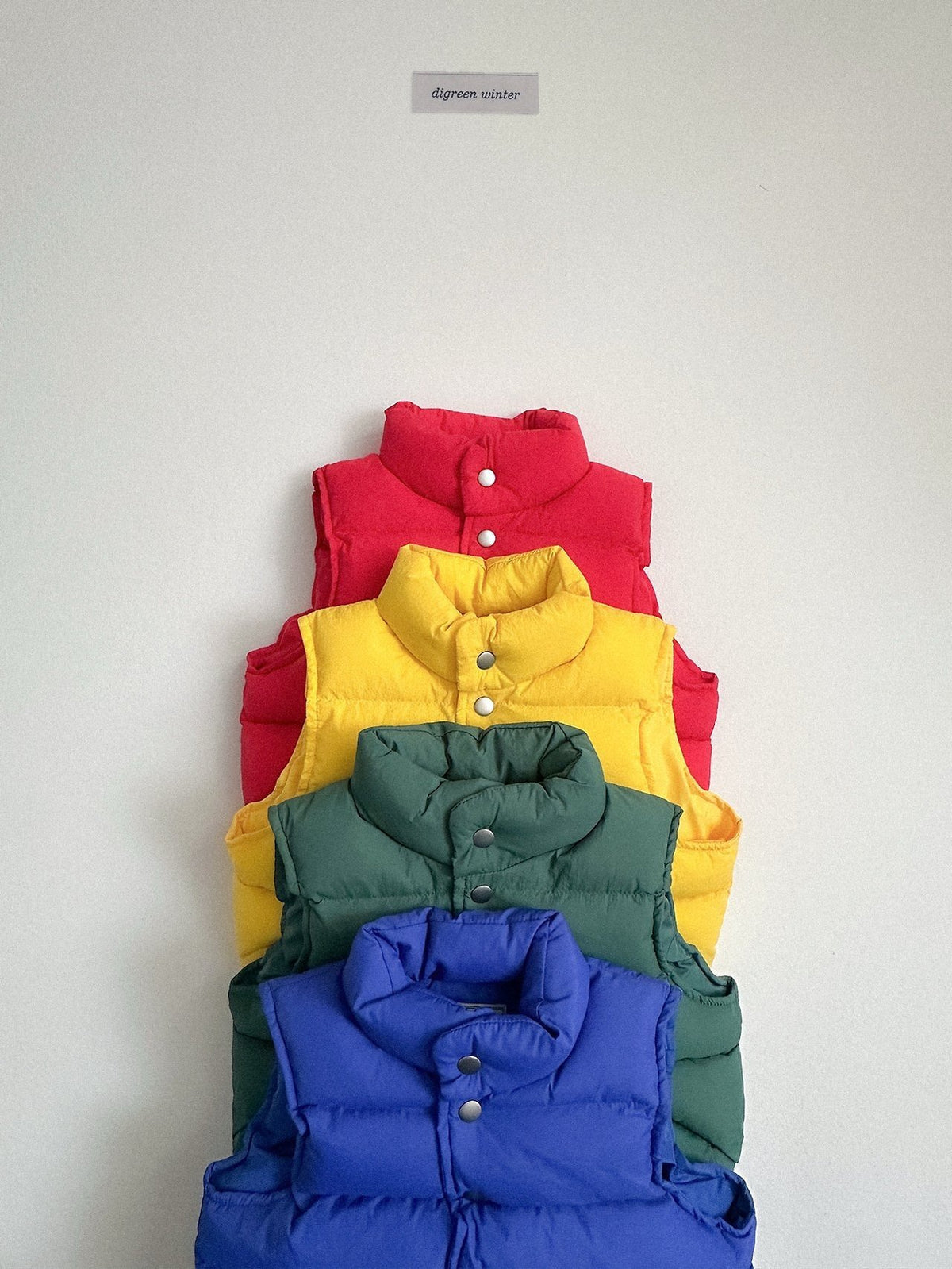 《予約》Vivid Padded Vest / digreen