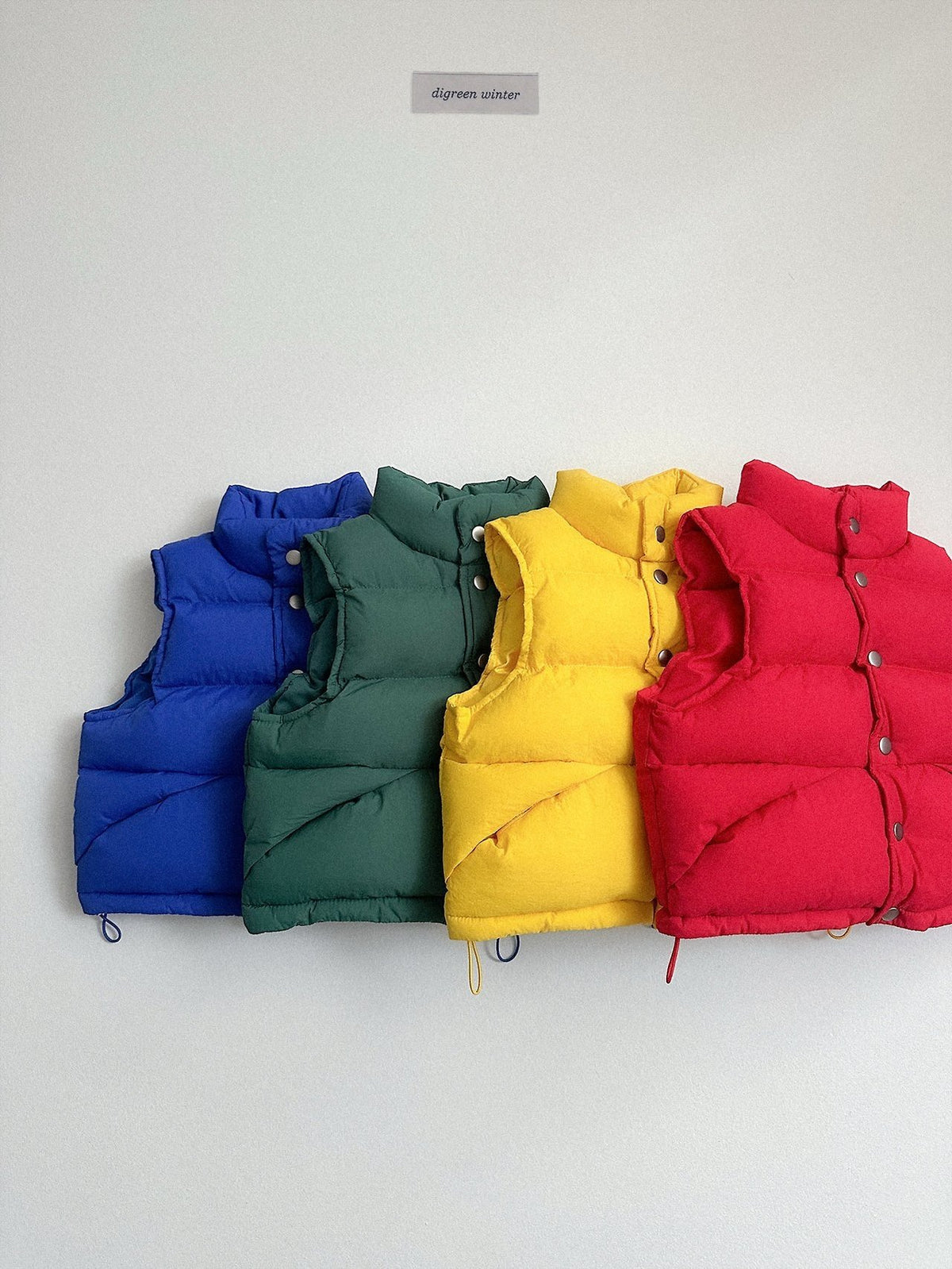 《予約》Vivid Padded Vest / digreen