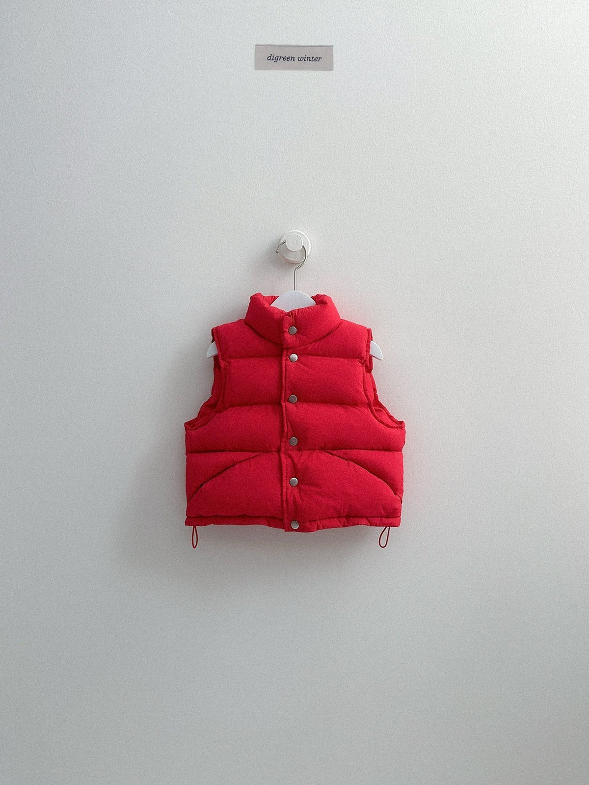《予約》Vivid Padded Vest / digreen