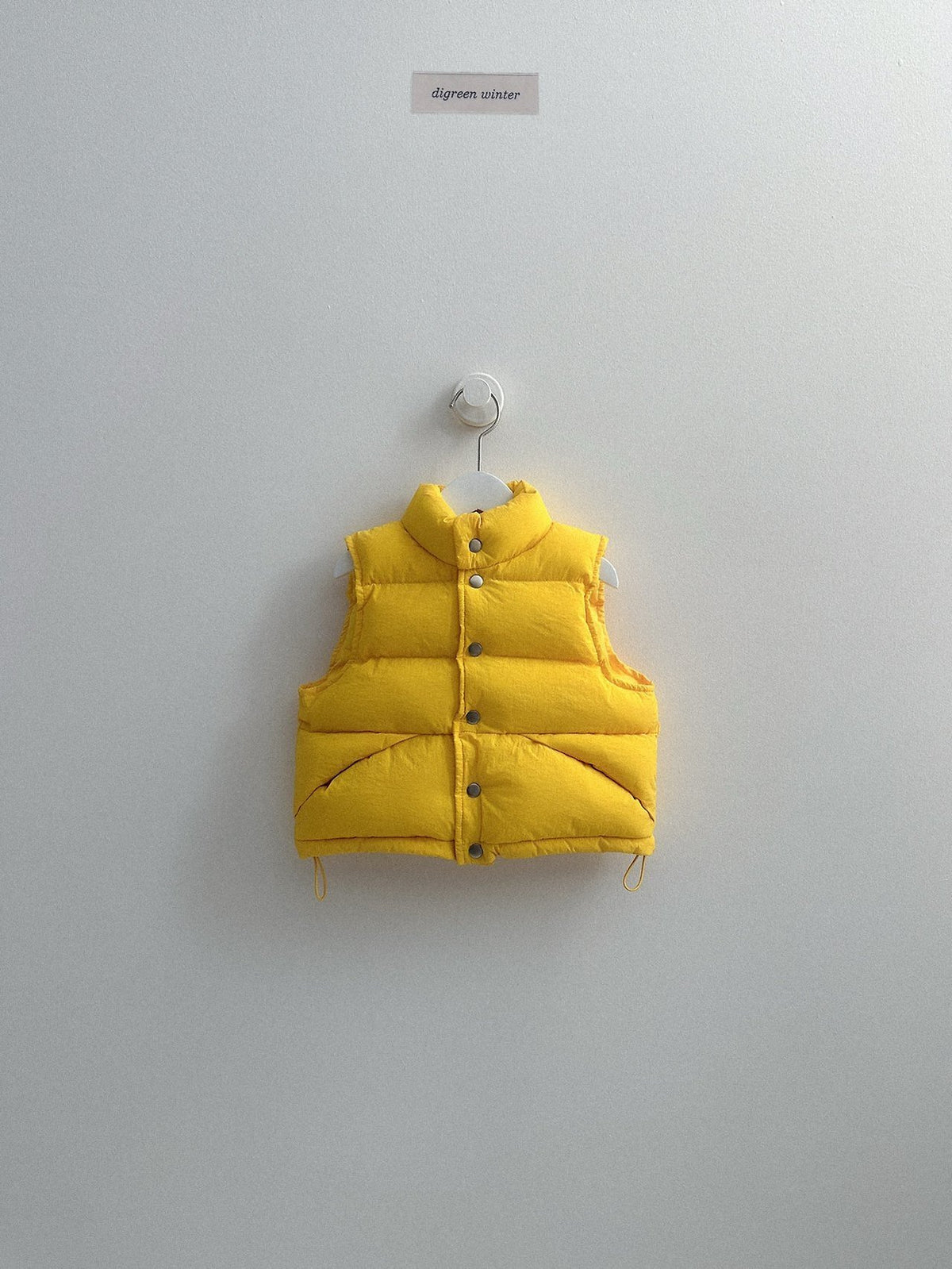 《予約》Vivid Padded Vest / digreen