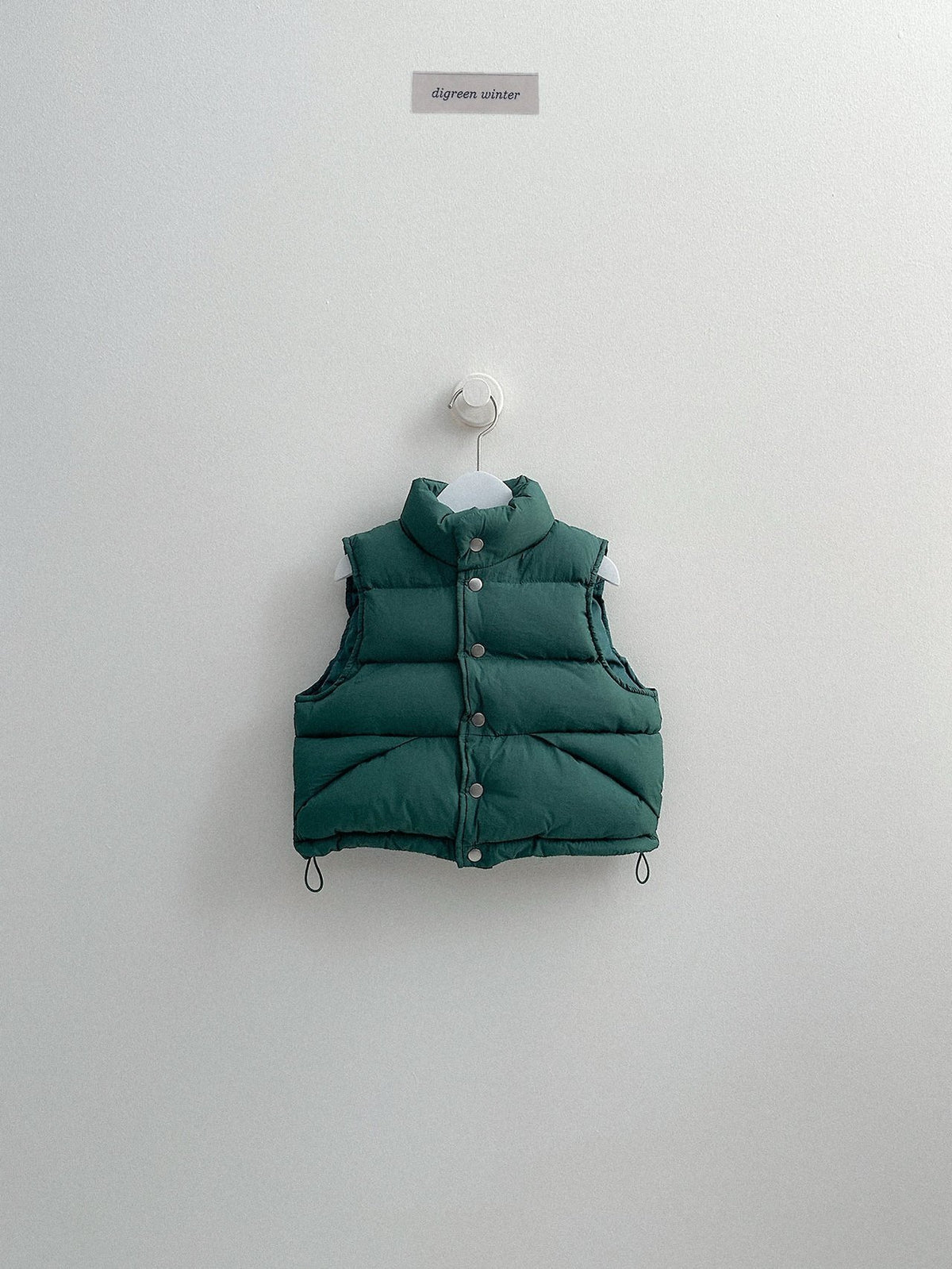 《予約》Vivid Padded Vest / digreen