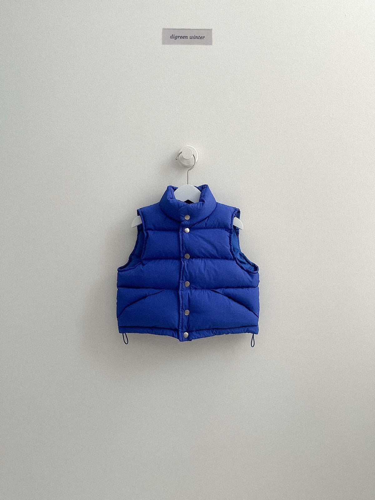 《予約》Vivid Padded Vest / digreen