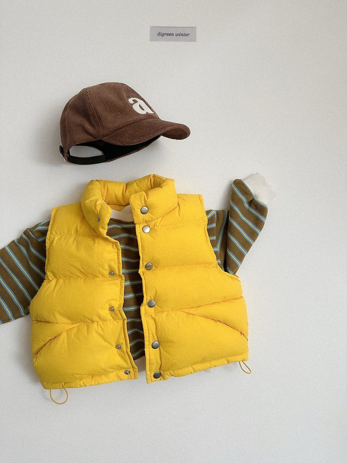 《予約》Vivid Padded Vest / digreen