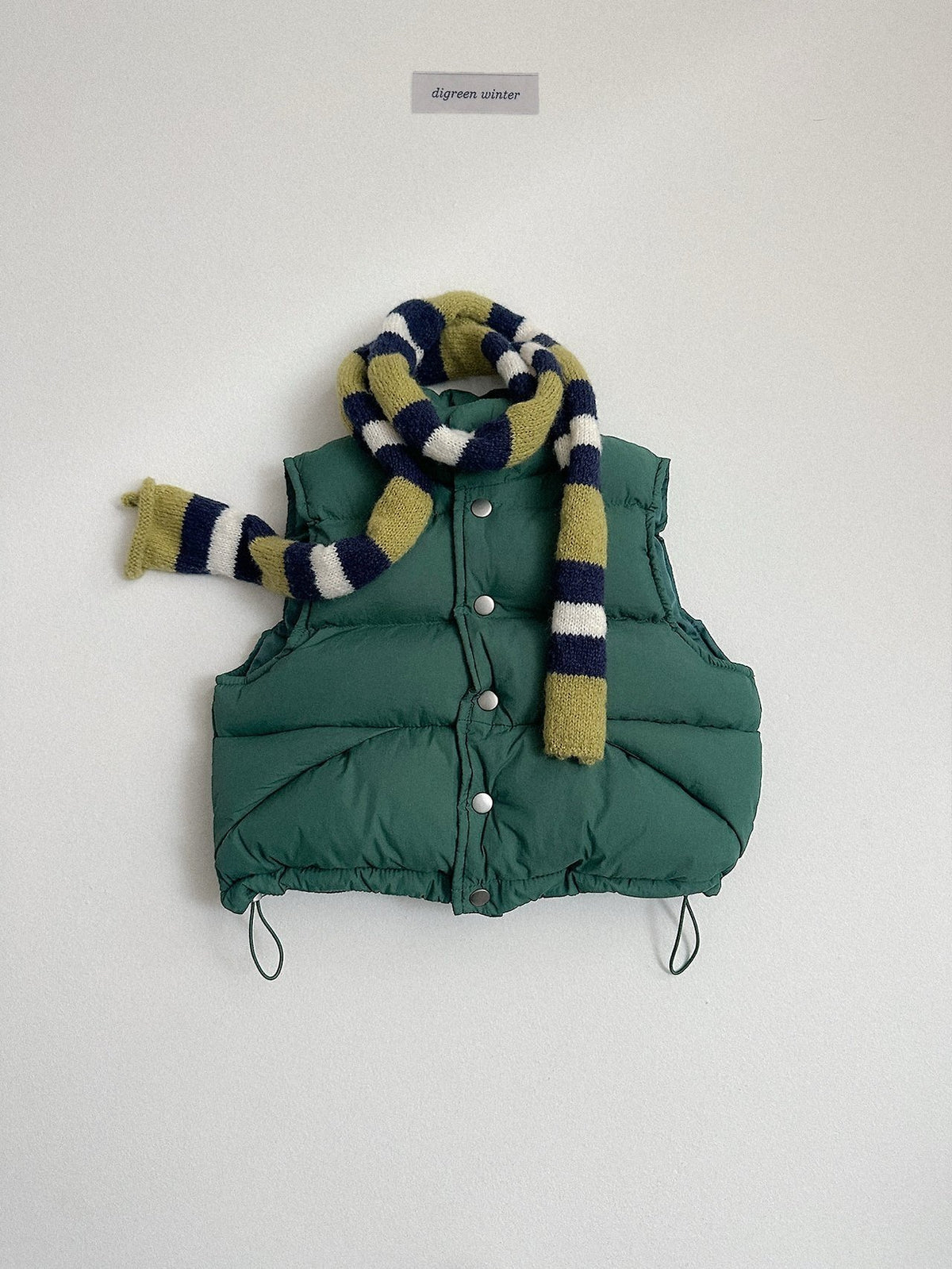 《予約》Vivid Padded Vest / digreen