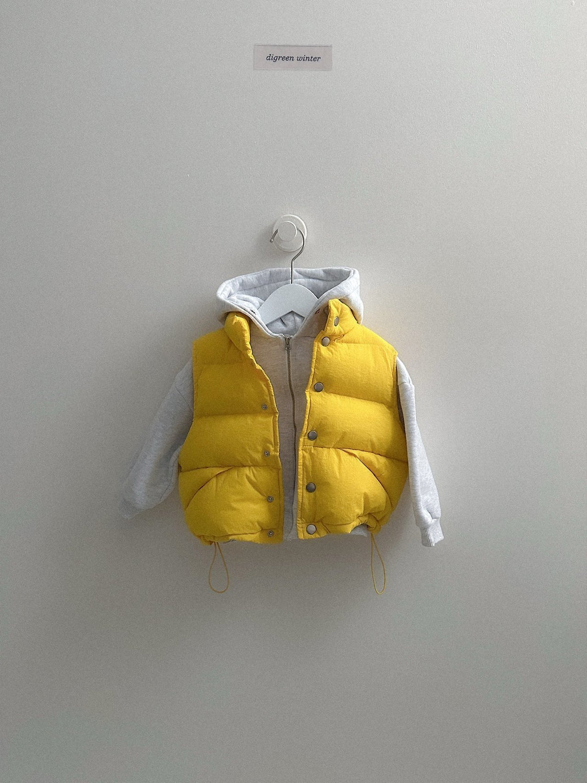 《予約》Vivid Padded Vest / digreen