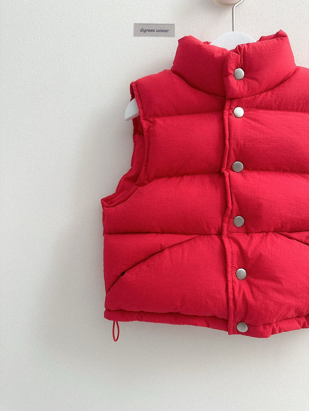 《予約》Vivid Padded Vest / digreen