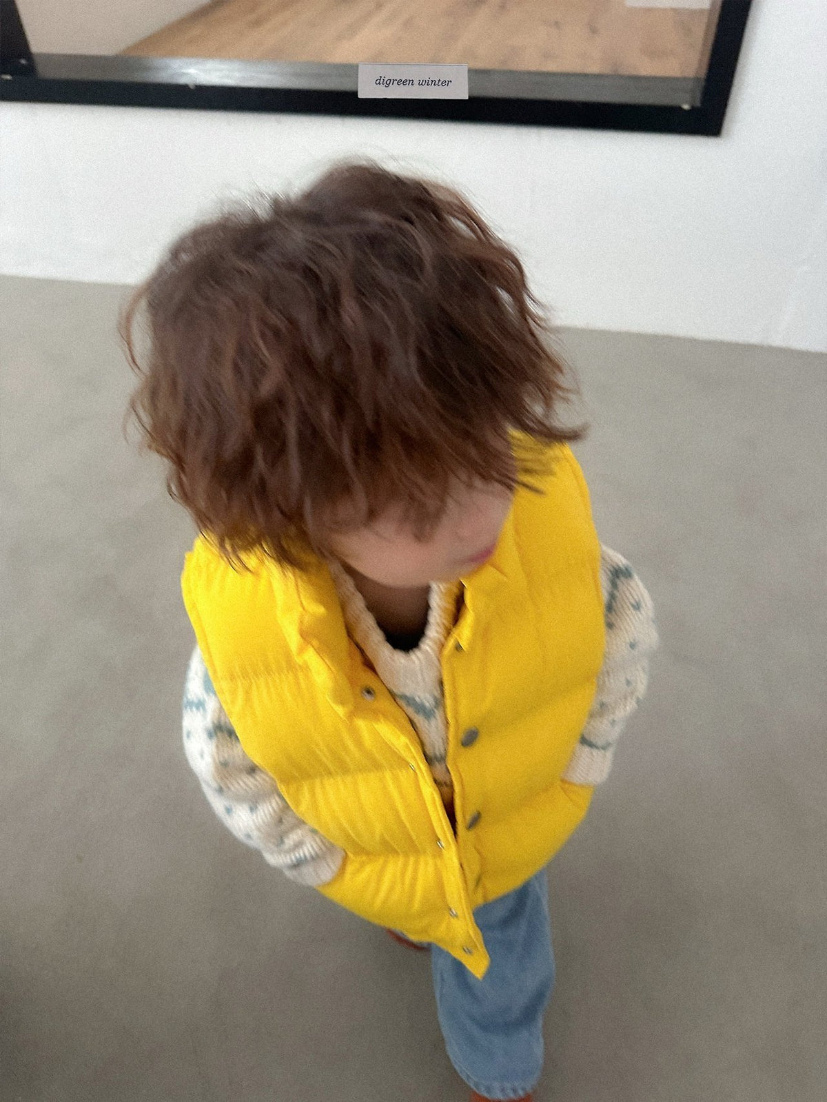 《予約》Vivid Padded Vest / digreen