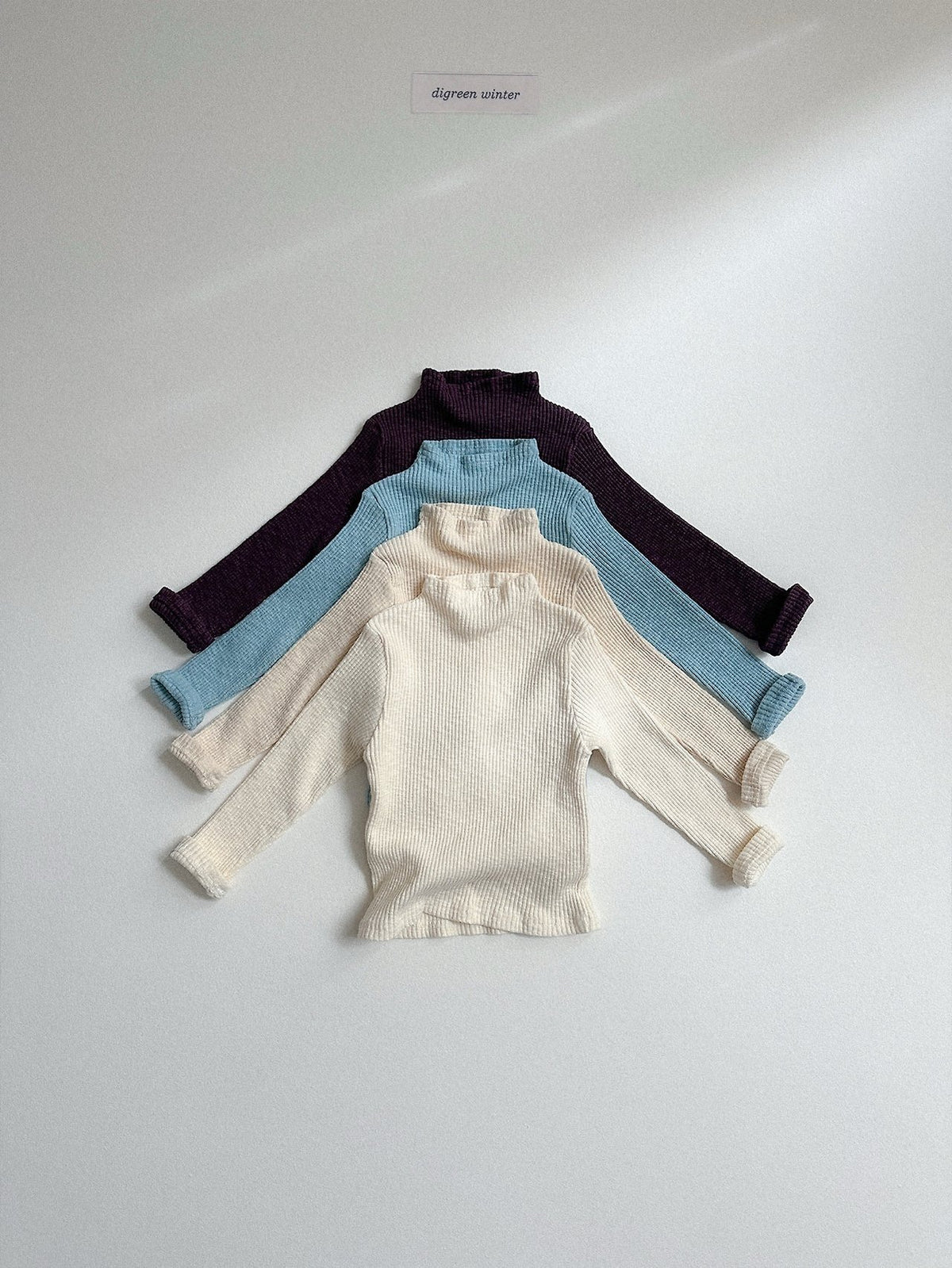 《予約》Taupe Turtle Neck Tee / digreen