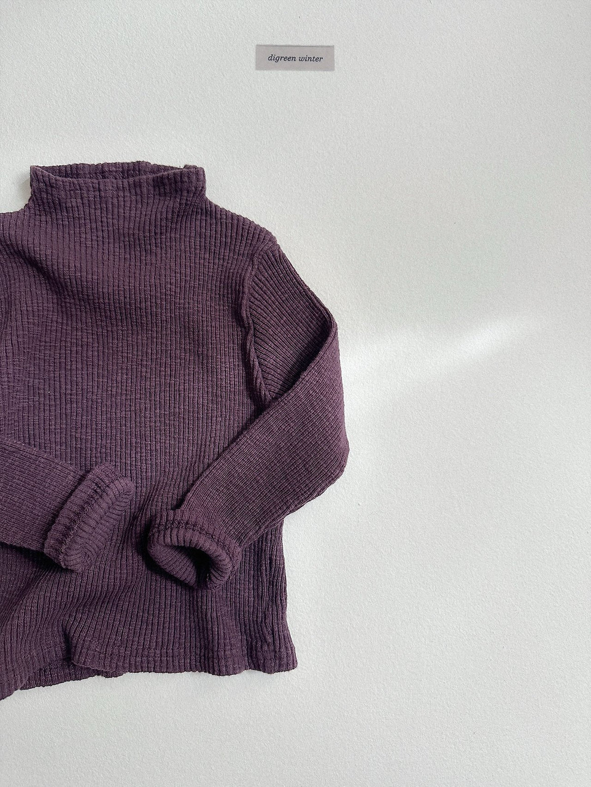 《予約》Taupe Turtle Neck Tee / digreen