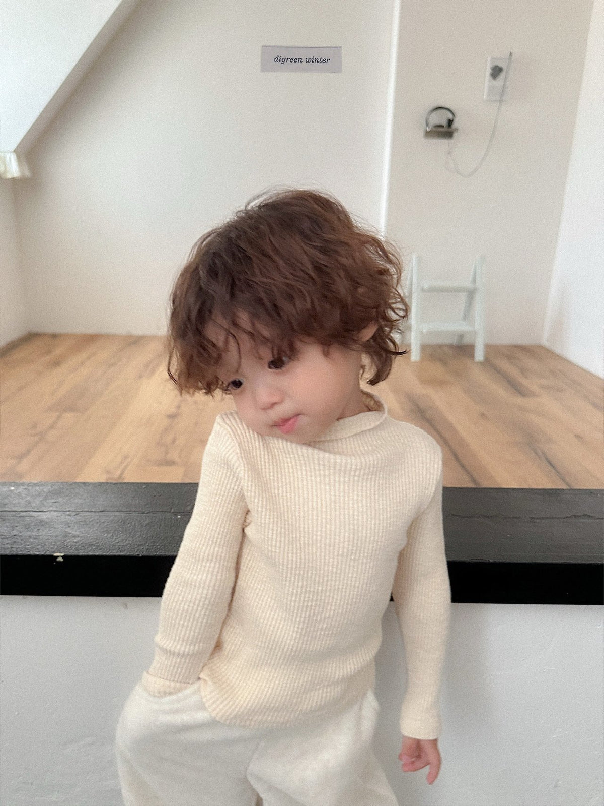 《予約》Taupe Turtle Neck Tee / digreen