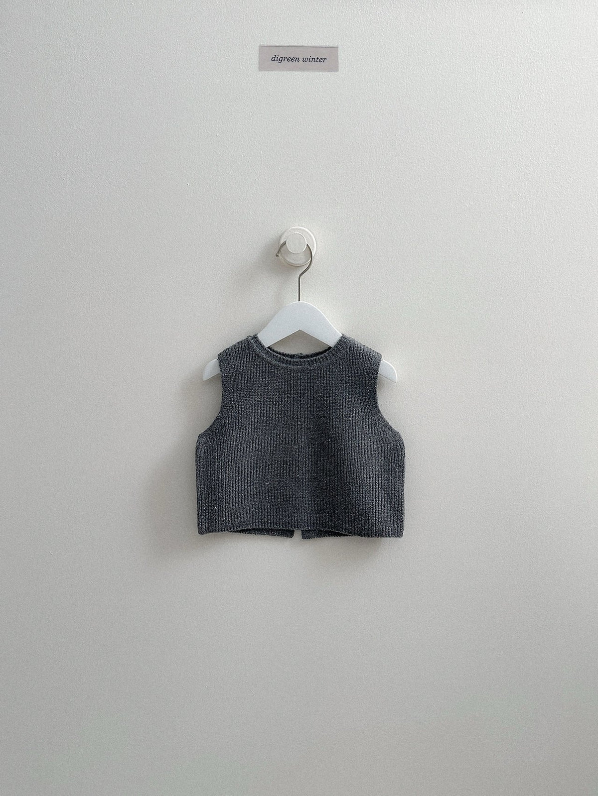 《予約》Benny Vest / digreen