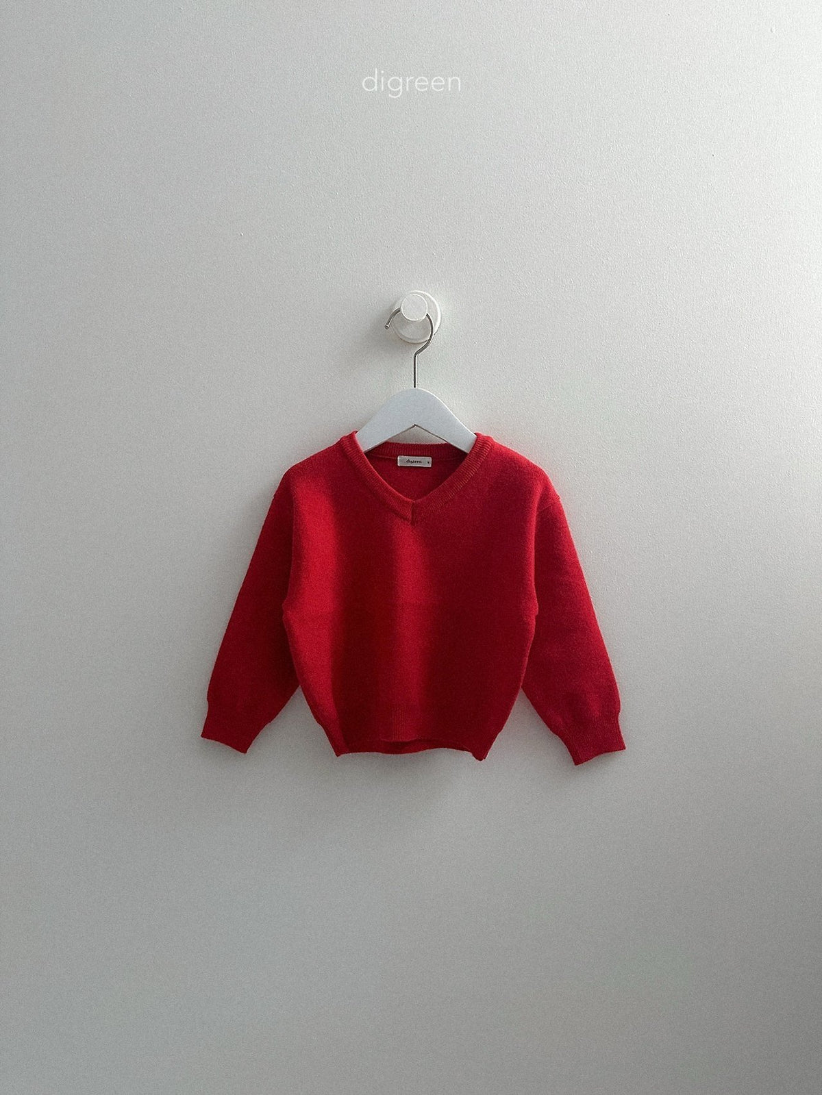 《予約》Cozy V-Neck Knit / digreen