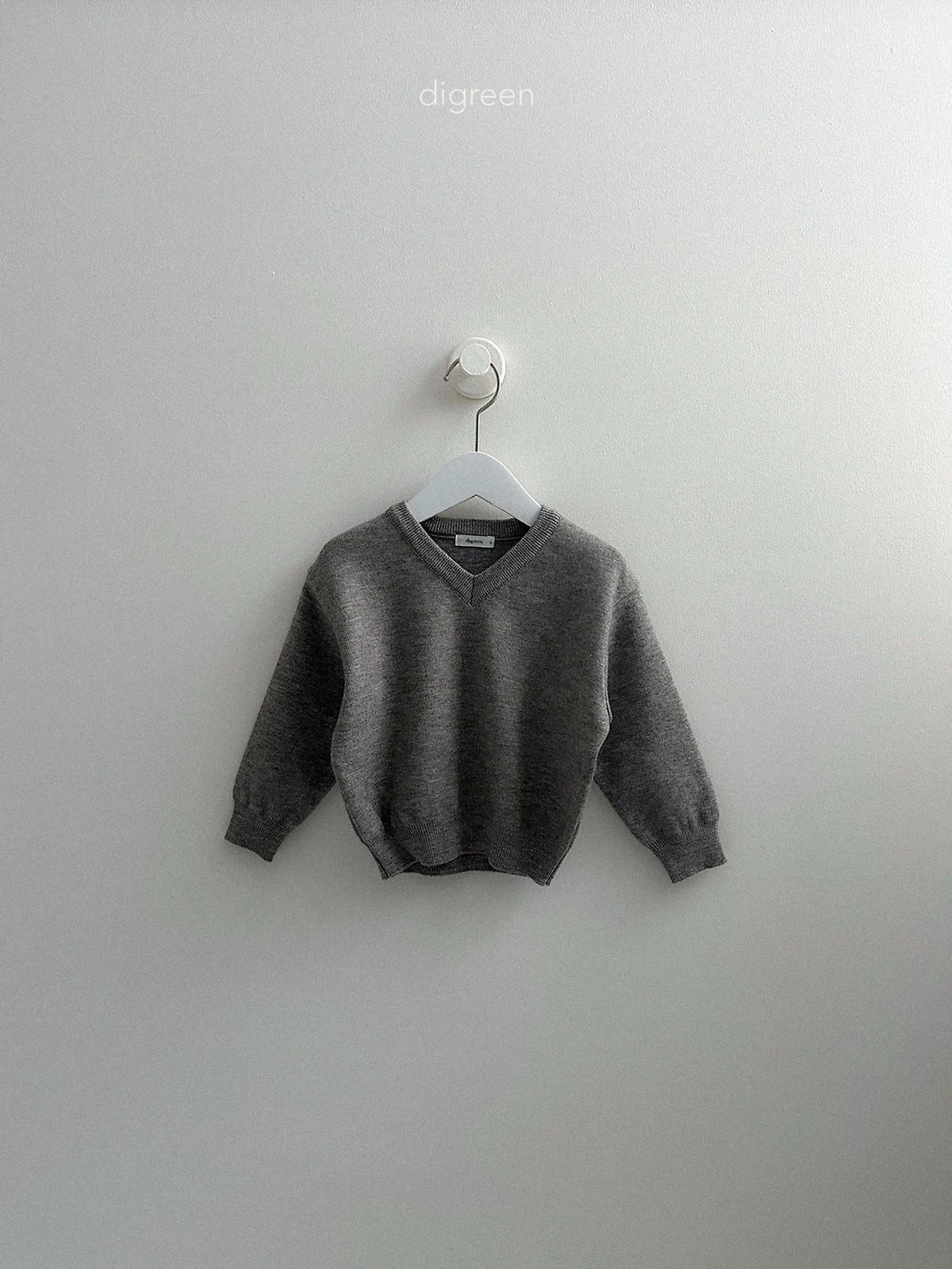 《予約》Cozy V-Neck Knit / digreen