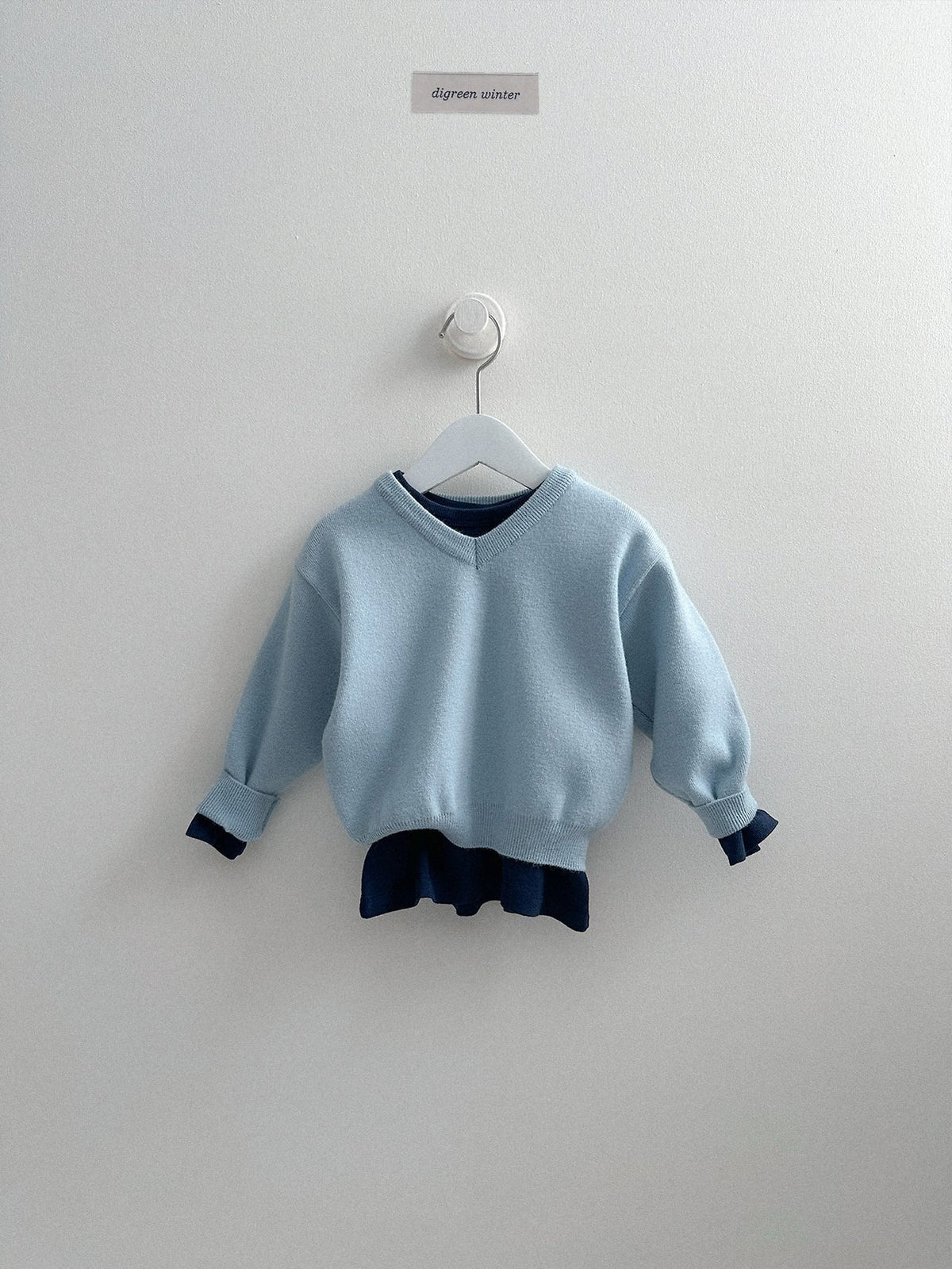 《予約》Cozy V-Neck Knit / digreen