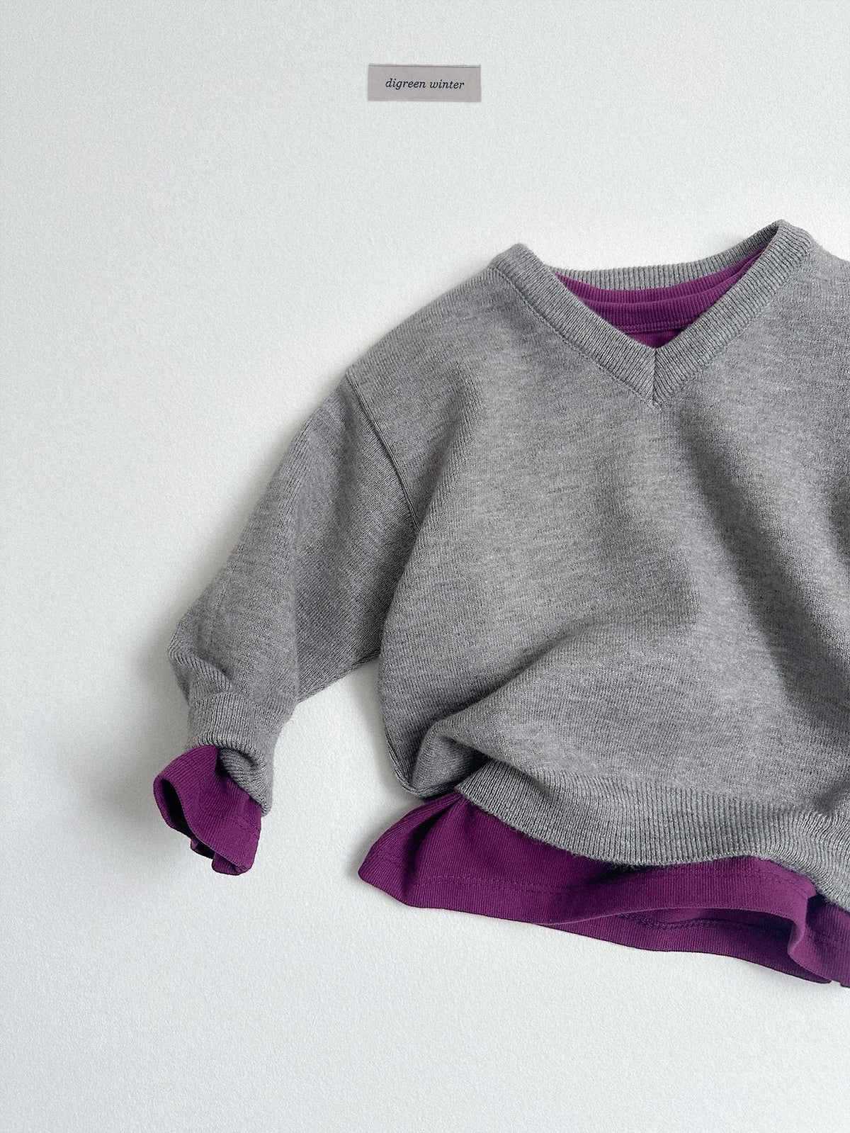 《予約》Cozy V-Neck Knit / digreen