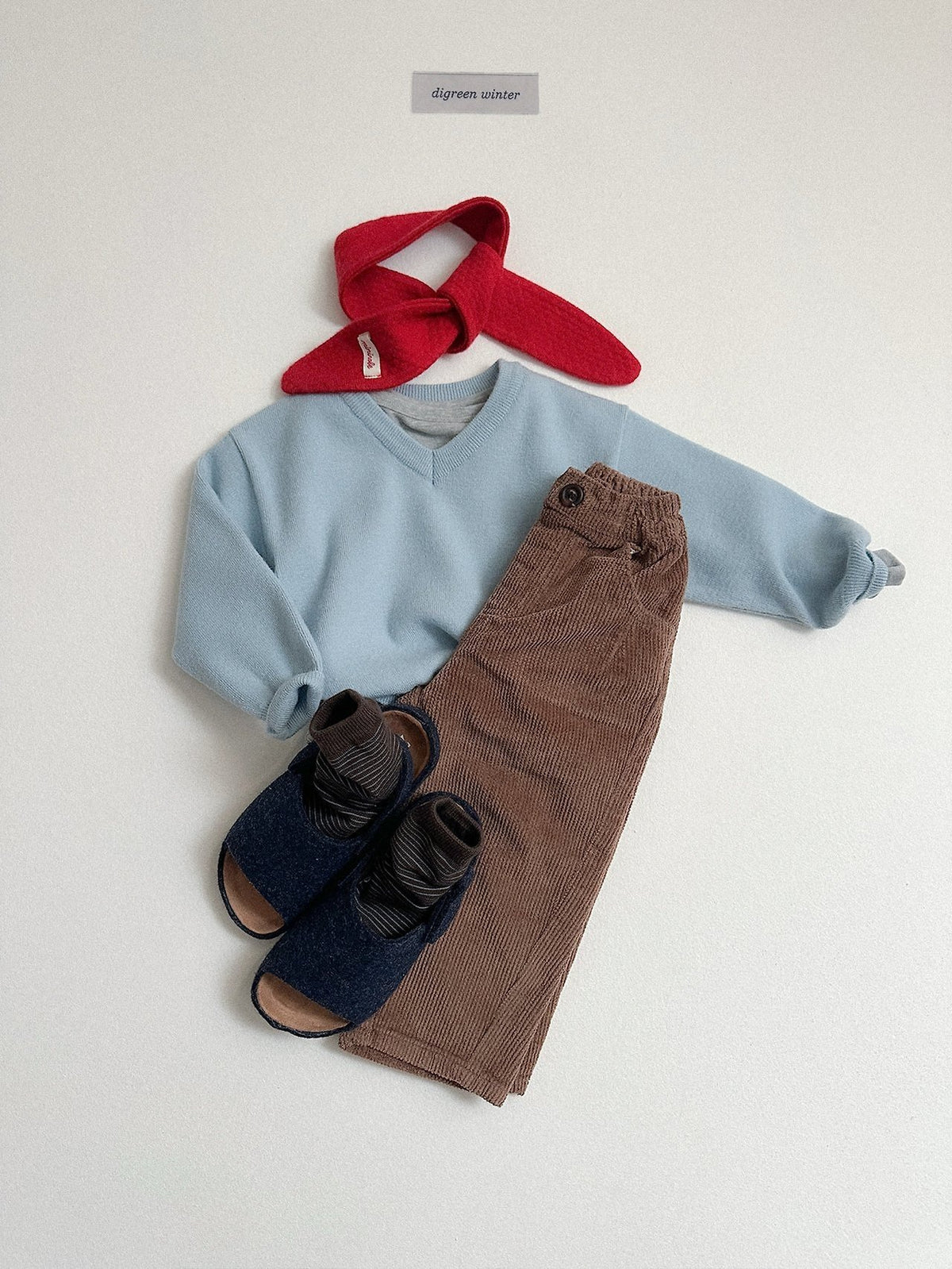 《予約》Cozy V-Neck Knit / digreen