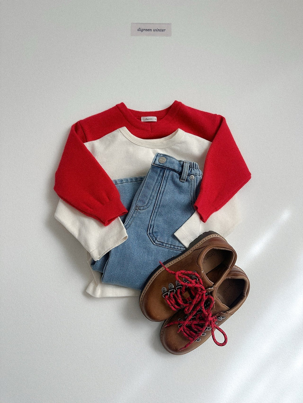 《予約》Cozy V-Neck Knit / digreen